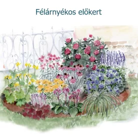 Félárnyékos előkert hortenziával