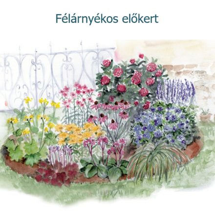 Félárnyékos előkert hortenziával