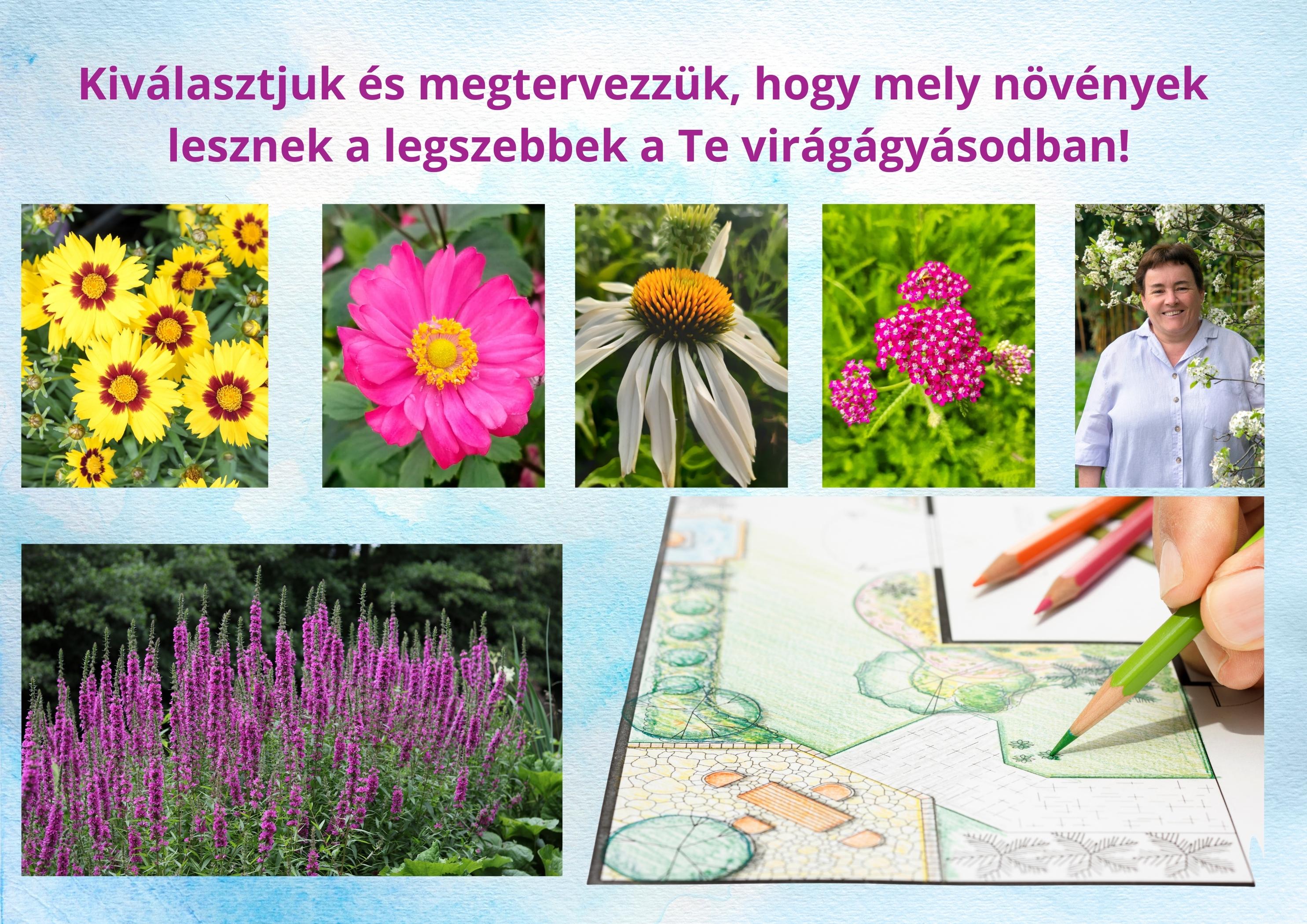 eveloagyas_tervezes